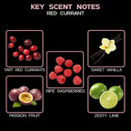 LOVSPA Reed Diffuser Set, Red Currant Scented Oil Diffuser with Sticks, Home Fragrance Accessories for Bathroom Shelf Decor, Aroma Diffusers for Home or Office Desk, USA Made