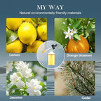 Reed Diffuser Set, My Way Floral Fragrance Diffuser 6.1 fl oz with 6 Reed Sticks Long-Lasting Home Fragrance Reed Diffuser for Home Room Office Bathroom Shelf Decor