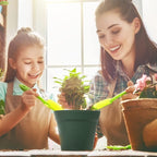 homenote Plant Pots,15 Pack 6 inch Flower Pots with Multiple Drainage Holes and Saucers,Plastic Planters for All Home Garden Flowers Succulents(Green)