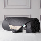 CUDDLE DREAMS Lightweight Silk Filled Comforter for Summer, Detachable Tencel Duvet Cover for Easy Care, Naturally Breathable (Steel Gray, Queen)