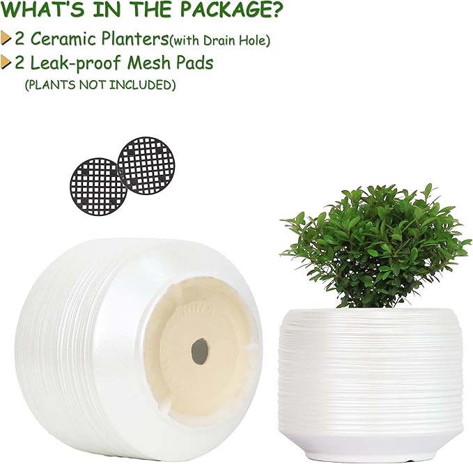 8 Inch + 6 Inch Ceramic Plant Pots Indoor with Drainage – Flower Pot Set, Decorative Indoor Planters for House Plants and Garden Use