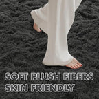 5x7 Ft Shag Area Rug for Bedroom, Ultra Soft Fluffy Furry Rugs for Living Room Indoor Floor, Aesthetic Carpet for Kids Home Decor (Grey)