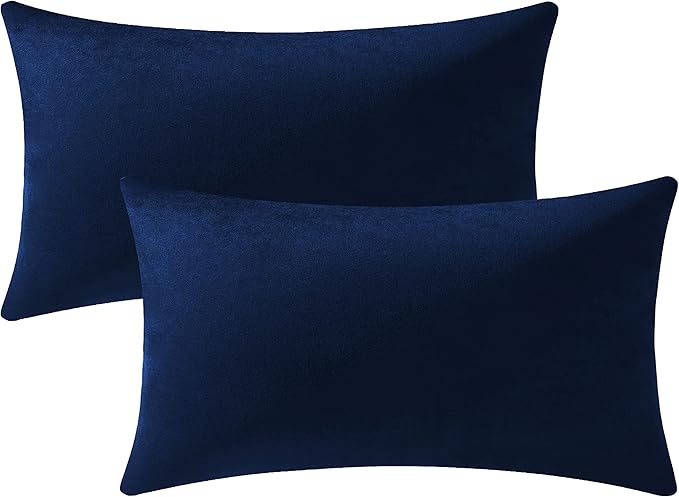 Couch Pillow Cases 12x20 Navy: 2 Pack Cozy Soft Velvet Rectangular Throw Pillow Covers for Farmhouse Home Decor
