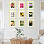 12 Packs 8.5 by 11 Picture Frames, Display 6x8 with Mat or 8.5x11 Without, for Award Certificate Diploma Document, 8.5 x 11 Frames Bulk Set of 12 Photo Frames Set for Wall and Tabletop, Gold