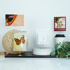 20pcs Mini Place Card Holder, Table Number Holders, Table Card Holders, Table Number Stands, Wire Table Picture Photo Holder with Heart Shaped Menu Clips for Wedding Favors (Rose Gold)