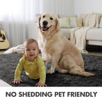 5x7 Ft Shag Area Rug for Bedroom, Ultra Soft Fluffy Furry Rugs for Living Room Indoor Floor, Aesthetic Carpet for Kids Home Decor (Grey)