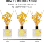 Reed Diffuser Set - 3.38 fl oz (100ml) Lemon Verbena Essential Oil with 6 Reed Sticks | Home & Bathroom Decor