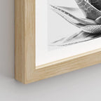 SIGNWIN Framed Black White Snake Plant Agave Cactus Succulent Wall Art, Set of 4 Floral Botanical Wall Decor Prints, Nature Wilderness Wall Décor for Living Room, Bedroom - 8"x10" Natural