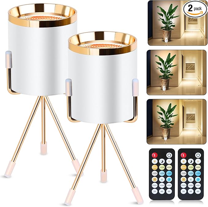 Spot Lights Indoor Floor Lamp, 6W Uplighting Indoor with Remote, Dimmable & Timer & 3 Color Temperatures, 2700K to 6500K Floor Can Lights for Plants Pictures Corner Ambient Lighting, 2 Pack