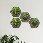 Hexagonal Wooden Wall Planter, Self Watering Living Vertical Planter Indoor, Wooden Frame Planter Wall Decoration Home Office,2pc Walnut