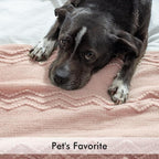 MIULEE Light Pink Knitted Throw Blanket for Couch Bed, Boho Textured Cozy Woven Decorative Farmhouse Blanket with Tassels for Sofa Chair Living Room 50"x60"