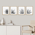 SIGNWIN Framed Black White Snake Plant Agave Cactus Succulent Wall Art, Set of 4 Floral Botanical Wall Decor Prints, Nature Wilderness Wall Décor for Living Room, Bedroom - 12"x16" Natural