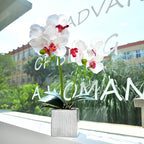 Artificial Potted Orchid Faux Phalaenopsis Silk Flowers Bonsai Realistic Arrangement in Silver Vase for Home Decoration Table Centerpiece, White