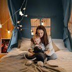 Razee Full Size Bed Canopy for Kids, Boys Bed Tent Dream Privacy Sleeping Tents Indoor, Toddler Under Bunk Bed Tent with Pennant Banners