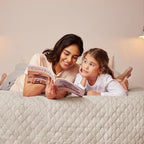 Exclusivo Mezcla Reversible Full Queen Quilt Bedding Set with Pillow Shams, Lightweight Quilts Queen Size, Soft Bedspreads Bed Coverlets for All Seasons - (Brich Beige, 90"x96")