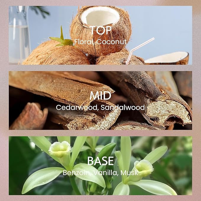 M&SENSE 8.4 oz Large Reed Diffuser for Home | Vanilla Sandalwood Scent Home Oil Diffuser with Sticks | Bedroom Bathroom Living Room Decor