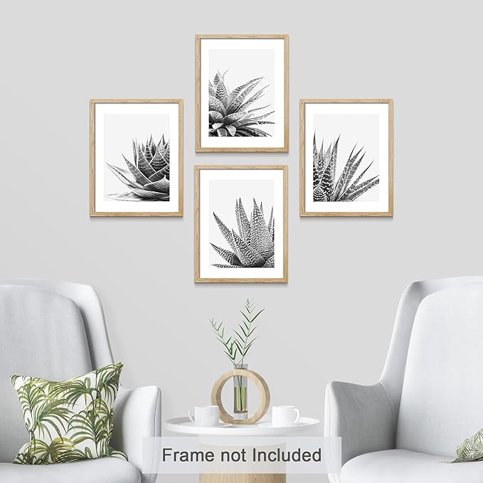 SIGNWIN Poster Set Black White Snake Plant Agave Cactus Succulent Close Up Floral Botanical Photography Modern Art Decorative Scenic Multicolor Nature Wilderness for Bedroom - 12"x16"x4