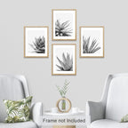 SIGNWIN Poster Set Black White Snake Plant Agave Cactus Succulent Close Up Floral Botanical Photography Modern Art Decorative Scenic Multicolor Nature Wilderness for Bedroom - 12"x16"x4