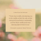 Aera Vanilla - Essential Oil for Home - Enveloped in Comfort Fragrance - Notes of Vanilla, Tonka and Bourbon - Scent Refill - Works with The Aera Diffuser