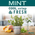 MRS. MEYER'S CLEAN DAY Room and Air Freshener Spray, Non-Aerosol Spray Bottle Infused with Essential Oils, Limited Edition Mint, 8 fl. oz - Pack of 3
