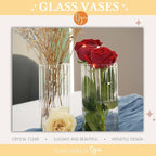 12pcs Glass Vase Cylinder Vases for Centerpieces Small Flower Glass Vases Bud Vases Home Decor Centerpiece Table Flower Vase Decorations for Office Beautification＆Holiday 6 Inch Tall