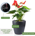 Dexceder 15x14 Self Watering Planter with Wheels Indoor Outdoor, Inner Pot Design, Thickened Large Floor Standing Flower Plant Pot with Water Level Indicator (Slate Gray Matte)