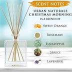 Urban Naturals Christmas Morning Reed Diffuser Set – Aromatic Rosemary, Eucalyptus, Balsam Spruce, Orange, Cedar & Amber – Sleek Rectangular Refillable Glass Bottle – Made in The USA