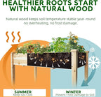 BSP Raised Garden Bed with Legs Outdoor Elevated Planter Box Flower Bed Wood Planter for Vegetable Herb Upgraded Solid Structure Growing Box Suitable for Backyard Patio and Balcony, 48”L X 24”W