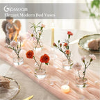 Glasseam Bud vases Set of 12: Glass Vases for Centerpieces Modern Small Vases for Home Table Shelf Wedding Party Decoration - Clear Vase for Flowers Stem Roses Tuilps Cuttings