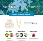 AGRARIA AirEssence Flower and Reed Diffuser Set, Handmade Sola Flower Botanical Home Fragrance Set, Scented Oil Reed Diffuser Gift for All Occasions