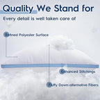 viewstar Pillows Queen Size Set of 2, Bed Pillows for Sleeping, Queen Pillows 2 Pack for Back and Side Sleepers, Fluffy Pillows for Bed with Down Alternative, Machine Washable, Light Blue, 20" x 30"