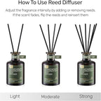 Reed Diffuser for Pet Odor Elimination, Osmanthus, Non-Toxic & Pet-Friendly Air Freshening, 6 Oz