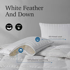 Hotel Grand Softy-Around Feather Down Pillows King Size Set of 2 Packs White Strip 100% Cotton Fabric Bed Pillows for All Position Sleepers,36"x20"/2 Packs