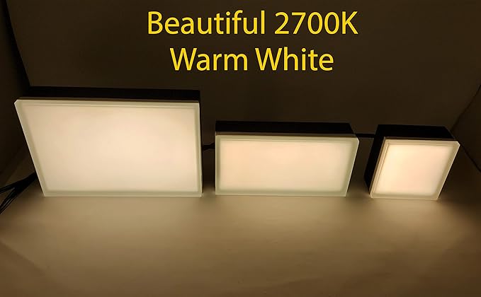 LUMENGY Paver Light 3×9 Inch (2.95 inch X 8.85 inch), Warm White Glare-Free Illumination for Driveways, Pathways, Pool Deck & Patios,12V AC/DC, Waterproof & Drive-Over Rated