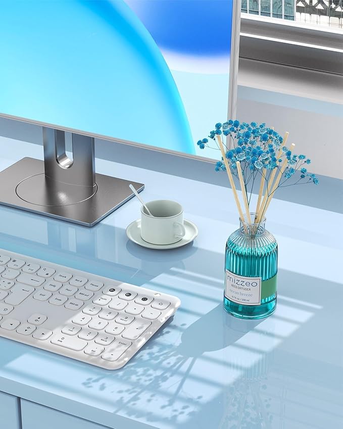 MIZZEO Reed Diffuser Set, Ocean Beach 6.76 fl oz Highly Scented Room Diffuser Home Fragrance Essential Oil Reed Flower Diffuser, House Bedroom Office Decor & Gifts