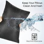 Basic Beyond Queen Size Pillows for Sleeping - Soft Down Alternative Pillows Luxury Hotel Collection Bed Pillows Queen Size Set of 2,Black,20x28 Inches