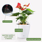 Dexceder 11x10 Inches High Gloss Self Watering Planter Indoor Outdoor, Inner Pot Design, Thickened Table Flower Plant Pot with Water Level Indicator (White)