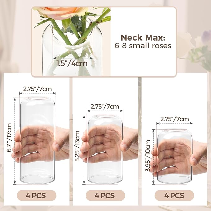 ComSaf Small Flower Vase Set of 12, Glass Bud Vases in Bulk, Clear Vases for Flower, Decor Centerpiece for Bathroom, Decorative Vases for House Warming, Valentines' Day, Mother's Day, Thanksgiving Day