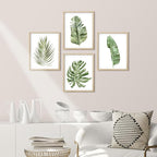 SIGNWIN Framed Banana Palm Monstera Leaf Wall Art, Set of 4 Green Pastel Wall Decor Prints, Nature Wilderness Wall D¨¦cor for Living Room, Bedroom - 12"x16" Natural