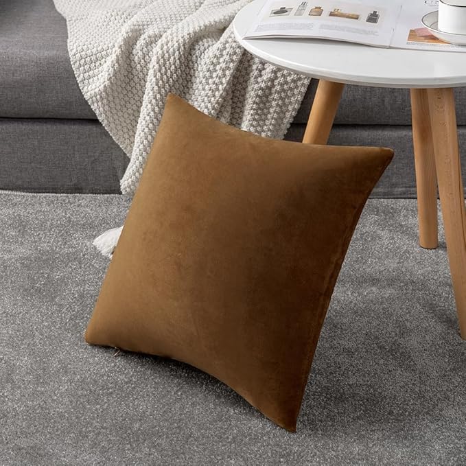Throw Pillow Cases 20x20 Golden Brown: 2 Pack Cozy Soft Velvet Square Decorative Pillow Covers for Farmhouse Home Decor