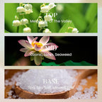 M&SENSE 10.14 oz Large Reed Diffuser Set | Ocean Escape Scent Oil Diffuser with Sticks | Hotel Collection Non-Toxic Essential Oil |for Bedroom Bathroom Living Room