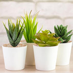 5 lbs Coarse Silica Sand for Indoor Plants, 1/5 Inch Natural Decorative Gravel for Vases, Aquariums, Terrarium, Fish Tank, Drainage Rocks for Potted Plants, Bamboo, Succulent, Crafts, Cactus