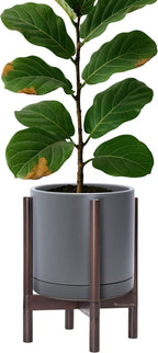 D'vine Dev Ceramic Planter with Walnut Color Stand - 12 Inch Modern Round Flower Pot with Wood Planter Holder, Grey, 55-B-W-3