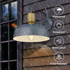 Outdoor Barn Light Gooseneck Barn Light, Farmhouse Exterior Wall Mount Light Vintage Wall Lighting Fixture Industrial Sconce Lantern for Porch, Entryway, Garage, Blue, 2 Pack