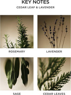 NEST New York Scented Classic Candle, Cedar Leaf & Lavender - 8.1 oz - Up to 60-Hour Burn Time - Reusable Glass Vessel