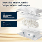Pacific Coast Pillows Queen Size Set of 2, Goose Feather and Down Pillow for Sleeping, 3-Chamber Hotel Pillow for Side Sleepers and Back Sleepers