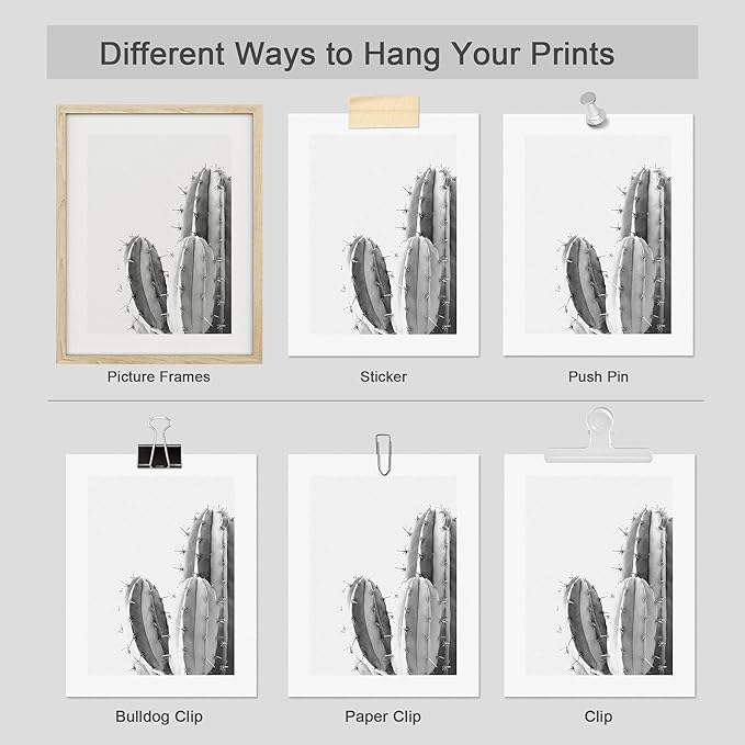 SIGNWIN Poster Set Black & White Saguaro Southwest Desert Tropical Cactus Floral Botanical Photography Modern Art Decorative Scenic Multicolor Nature Wilderness for Bedroom - 8"x10"x 4