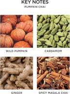 NEST New York Scented 3-Wick Candle, Pumpkin Chai - 21.2 oz - Up to 100-Hour Burn Time - Reusable Glass Vessel