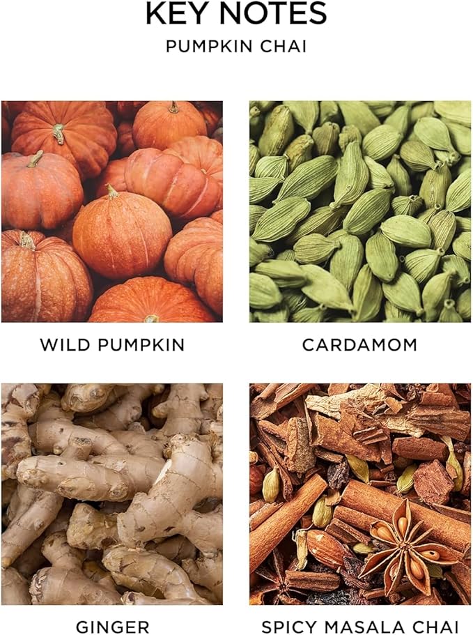 NEST New York Scented 3-Wick Candle, Pumpkin Chai - 21.2 oz - Up to 100-Hour Burn Time - Reusable Glass Vessel