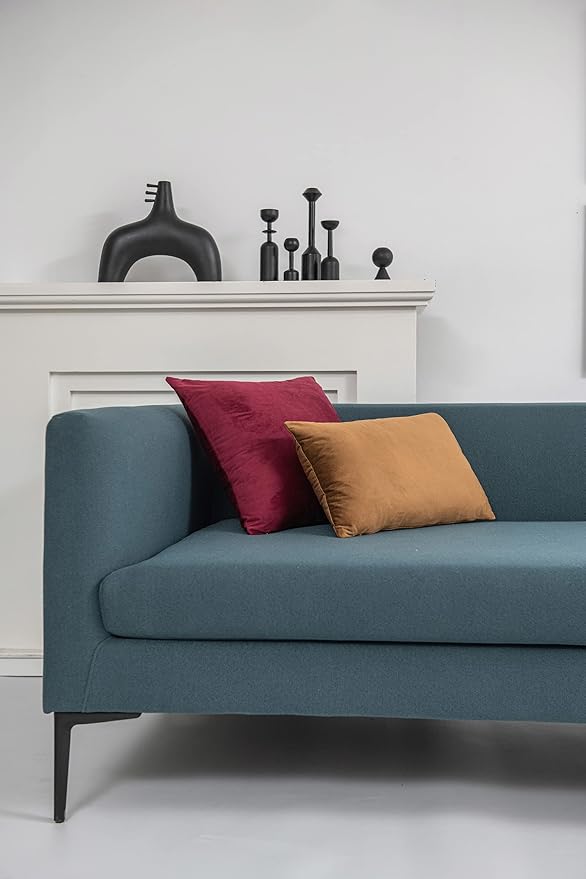 Throw Pillow Cases 12x20 Golden Brown: 2 Pack Cozy Soft Velvet Rectangular Decorative Pillow Covers for Farmhouse Home Decor